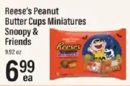 Lowes Foods Reese's Peanut Butter Cups Miniatures Snoopy & Friends offer