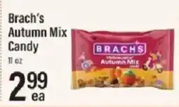 Lowes Foods Brach's autumn mix candy offer