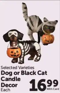 Food City Dog or Black Cat Candle Decor offer