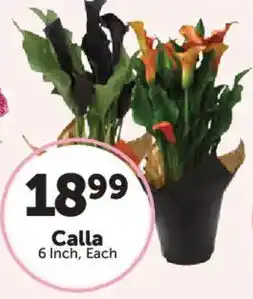 Food City Calla offer