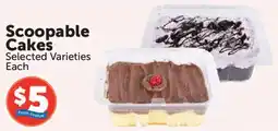 Food City Scoopable Cakes offer