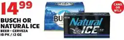 Sedano's Busch or Natural Ice beer offer