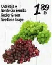 El Super Red or Green Seedless Grape offer