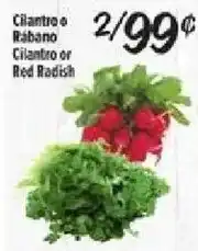 El Super Cilantro or Red Radish offer
