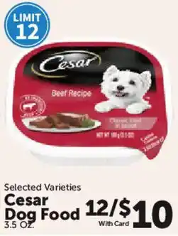 Food City Cesar Dog Food offer
