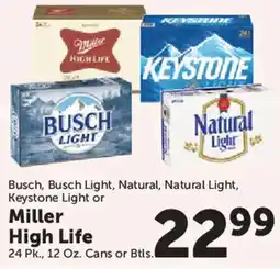 Food City Busch, Busch Light, Natural, Natural Light, Keystone Light or Miller High Life offer
