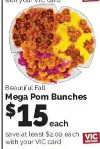 Harris Teeter Beautiful Fall Mega Pom Bunches offer
