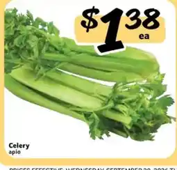 Fresco y Más Celery apio offer