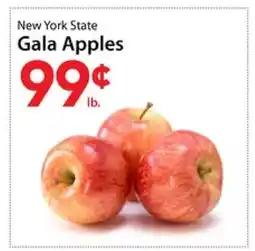 Three Guys from Brooklyn New York State Gala Apples offer