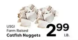 Rich's Fresh Market USGI Farm Raised Catfish Nuggets offer