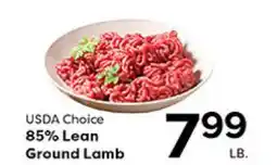 Rich's Fresh Market USDA Choice 85% Lean Ground Lamb offer