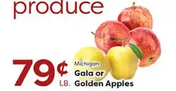 Rich's Fresh Market Michigan Gala or Golden Apples offer