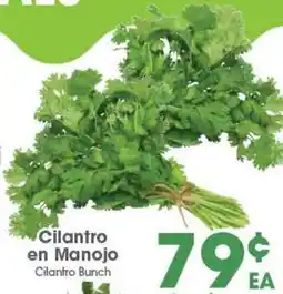 Arteagas Food Center Cilantro Bunch offer