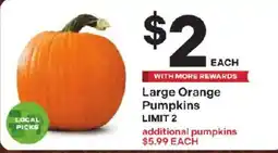 Coborn's Large Orange Pumpkins offer