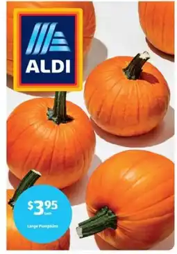 Aldi Aldi Large Pumpkins offer