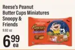 Lowes Foods Reese's peanut butter cups miniatures snoopy & friends offer