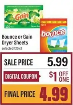 Lowes Foods Bounce or Gain Dryer Sheets offer