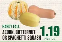 Lowes Foods Hardy fall acorn, butternut or spaghetti squash offer