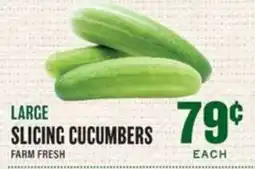 Lowes Foods Large Slicing Cucumbers offer