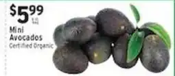 Associated Mini Avocados offer