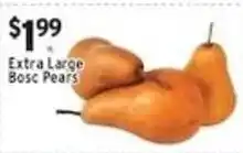 Associated Extra Large Bosc Pears offer