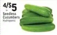 Associated Seedless Cucumbers Hydroponic offer