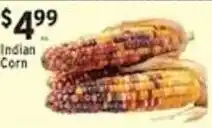 Associated Indian Corn offer