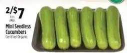 Pioneer Supermarkets Mini Seedless Cucumbers offer