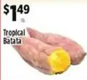 Pioneer Supermarkets Tropical Batata offer