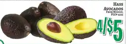 Trade Fair Supermarket Hass avocados offer