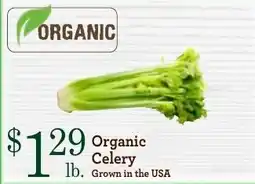 Yoke's Fresh Market Organic Celery offer