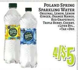 Trade Fair Supermarket Poland Spring Sparkling Water offer