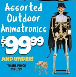 Big Lots Assorted Outdoor Animatronics offer