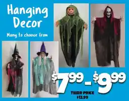 Big Lots Hanging Decor offer