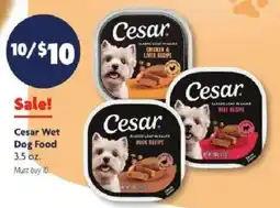 Family Dollar Cesar Wet Dog Food offer