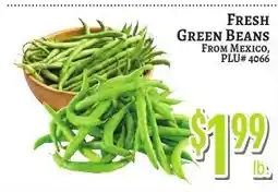 Trade Fair Supermarket Fresh Green Beans offer