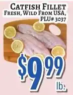 Trade Fair Supermarket Catfish Fillet offer
