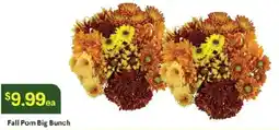 Raley's Fall Pom Big Bunch offer