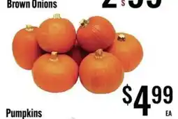Jons International Pumpkins offer