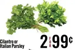 Jons International Cilantro or Italian Parsley offer