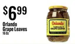 Jons International Orlando grape leaves offer