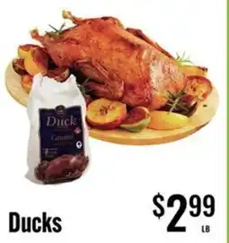 Jons International Ducks offer