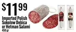 Jons International Imported Polish Sokolow Debica or Hetman Salami offer