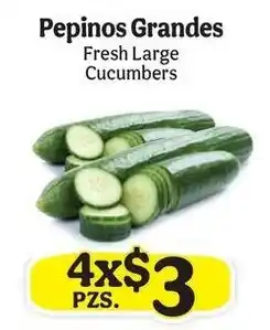 La Michoacana Pepinos Grandes Fresh Large Cucumbers offer