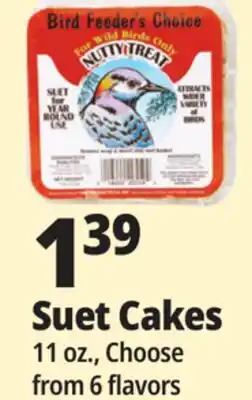 Ocean State Job Lot Suet Cakes offer
