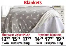 Ocean State Job Lot Blankets offer