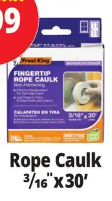 Ocean State Job Lot Rope Caulk offer