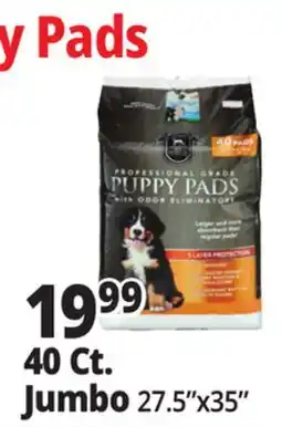 Ocean State Job Lot 40 Ct. Jumbo Puppy Pads offer
