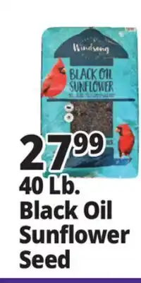Ocean State Job Lot Black Oil Sunflower Seed offer