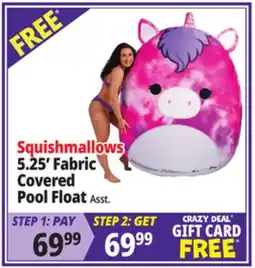 Ocean State Job Lot Squishmallows 5.25' Fabric Covered Pool Float offer